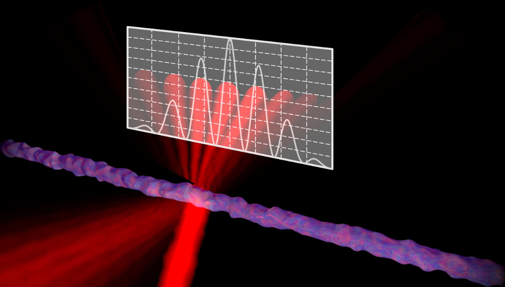 The Quantum Theory of Light